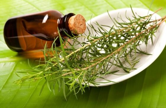 Aceite de árbol de té